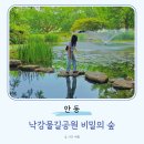 호반로(상아동) | 안동 가볼만한곳 낙강물길공원 안동댐 비밀의숲 포토존 가는길 피크닉 주차 정보