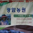 이병문농장 네이버블로그