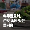 보감차문화원