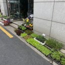 흥부종묘사 이미지