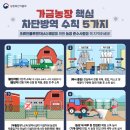 가금신발