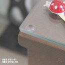 꽁s마켓리더