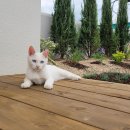 용화로48번길 이미지