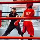 카운터복싱 동탄 목동 이미지