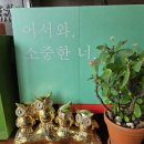 스위스마을114동 이미지