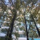 서초대로34길 34 이미지