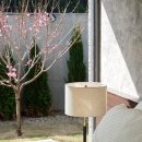 쿠스하우스 이미지