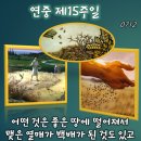 2026-07-12연중 제15주일＜씨 뿌리는 사람이 씨를 뿌리러 나갔다.＞ 이미지