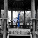 의정부엘리트태권도장 이미지