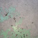 월드카닥터하우스 이미지