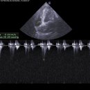 개금동물병원 이미지