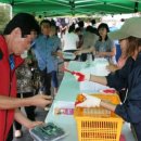 노화농장 이미지