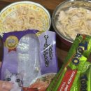 (주)아이펫 | [고양이간식추천] 홍삼이가 푹 빠진 토로(toro) 간식 리얼 급여 후기!