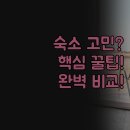홀리데이인스위트2차(Holiday Inn Suites) | 여행 숙소 어디로? | 목적별 호텔 선택 꿀팁 | 홀리데이인과 마이플레이스 완벽 비교 | 실제 경험 후기