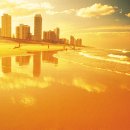 골드코스트 - 6081 | 골드코스트