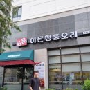 이든청둥오리 이미지