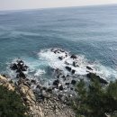 동석목장 | 강릉 여행 기록 - 삼양 목장, 망양휴게소 (무려 6년 전 'ㅁ')