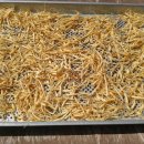 동녁골 농장 이미지