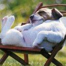 펠리체PT스튜디오 이미지