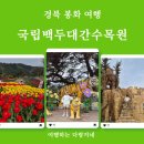 국립백두대간수목원  호랑이야외화장실 | 경북 봉화 아이랑 가볼만한곳_국립백두대간수목원 호랑이(트램·야외놀이터·튤립)