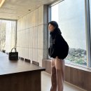 포레스트아우팅스, 빌리앤오티스, 블루쑤이샵 후기, 민트효소 마감. 수입폴더도 마감