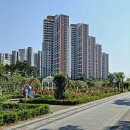 금강행정사사무소 이미지