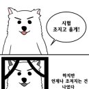 개성진찹쌀순대 이미지