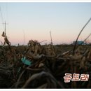 평생친구 이미지