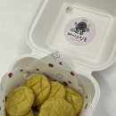 테이스팅독 이미지