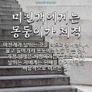 미친돼지 - 안산시 단원구 | 미친돼지