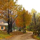 당너머한우 이미지