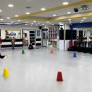 국가대표아이태권도장