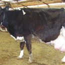 현웅목장 이미지