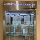 바디움울산 | 바디움울산점에서 경험한 역대급 프리미엄다이어트 E큐브 스파부터 치유 관리까지 후기