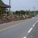 영농농장 이미지