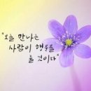 잘굴러당구클럽 Daum카페