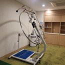 프로스윙