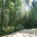 담빛민박 이미지