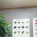 경희네쌈밥 | [청남대 근처 맛집] 경희식당 구수한 청국장과 우렁쌈밥정식
