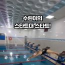 스타트포인트 | 스윔베어스(스윔배워쑤) 통대관 정모 참가 후기 (자유형 + 스타트 특강)