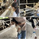 태산목장 | [충남] 아이와 주말 아그로랜드 태산목장 체험
