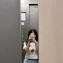 [9월 2주차] 아이폰 16e / 정직유부 안양IS비즈타워점 / 홍종흔베이커리 / 귀멸의칼날 정주행 / 싸다...
