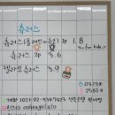 오셔젤라또
