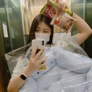 Dear My Pet 이미지
