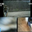 백두산 목장 이미지