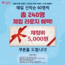 메이드라운지