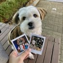 카페 MIMINKO 이미지