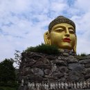 와우정사 이미지