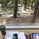 중촌돼지랑오리랑 이미지