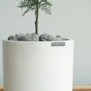 블루아이스식당 이미지